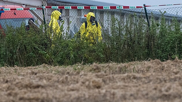 V Lan�kroun� za�ala likvidace velkochovu dr�be�e. (13. listopadu 2025)