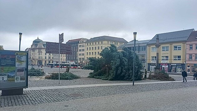 Na M�rovsk�m n�m�st� v �st� nad Labem spadl p�i instalaci v�no�n� strom. (12. listopadu 2025)