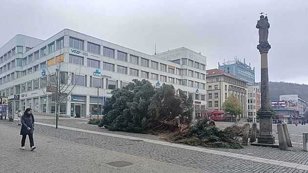 Na M�rovsk�m n�m�st� v �st� nad Labem spadl p�i instalaci v�no�n� strom. (12. listopadu 2025)