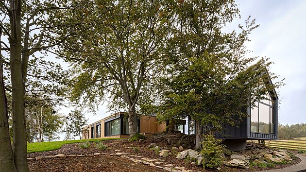 Vzrostl� zele� na pozemku z�stala, architekti ji respektovali a�vyh�bali se j�. 