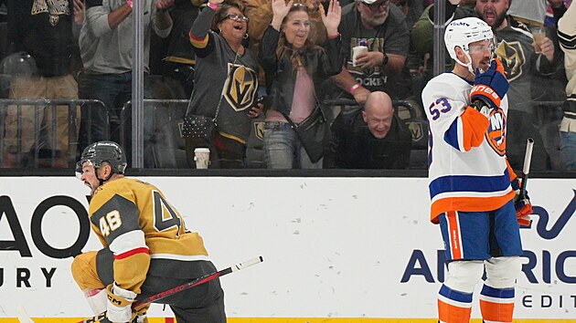 Tom� Hertl (48) z Vegas Golden Knights oslavuje svou trefu proti New York Islanders.