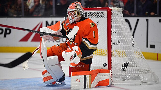 Luk� Dost�l (Anaheim) po inkasovan� brance.