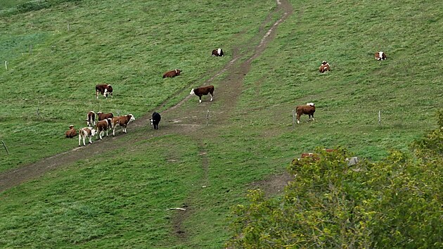 NA�E FARMY P�-p�