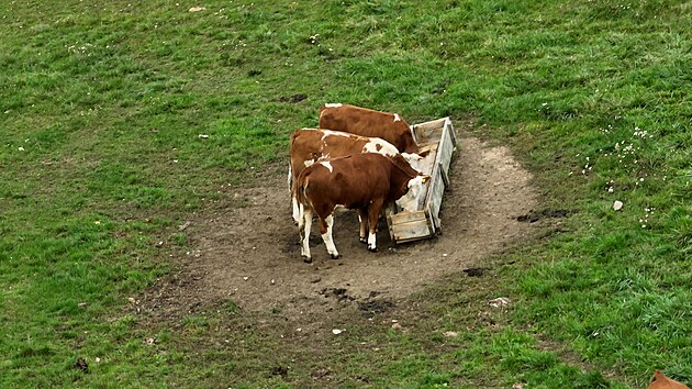 NA�E FARMY P�-p�