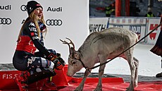 Mikaela Shiffrinová po dal�ím triumfu ve slalomu v Levi obdr�ela sobí mlád�. U�...