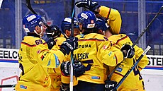 Hrá�i �eských Bud�jovic se radují z gólu na led� Vítkovic.