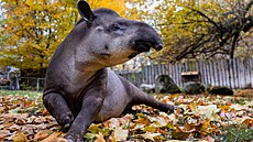 ilustra�ní snímek