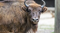 ilustra�ní snímek