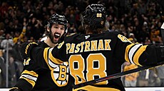 Mark Kastelic a David Pastr�ák z Boston Bruins se radují z gólu proti Toronto...