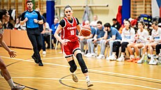 Elika Brejchová bhem pípravného utkání s Maarskem.