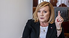 Kandidátka na finance. Pokud bude Alena Schillerová ministryní financí ve vlád...