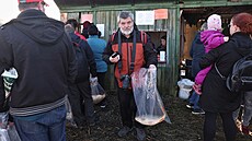 Rybá�i o víkendu vylovili Bezru�, nejv�t�í chovný rybník na severu Moravy a...