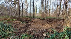 Patnáct t�ní, které zadr�í vodu na t�ech tisících metrech �tvere�ních, nechali...