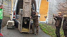 Sobí stádo v Olomouci pat�í k nejv�t�ím v Evrop�. Nyní jej opustili dv� samice...