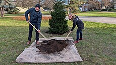Starosta Milan Rychta�ík na nám�stí minulý týden zasadil �ty�metrový jehli�nan,...