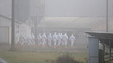 ilustra�ní snímek