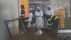 V areálu spole�nosti Agro-V ve Valdíkov� na T�ebí�sku za�ala 12. listopadu 2025...