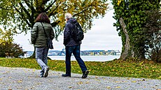 Chze léí. Studie naznauje, e dovede potlait propuknutí Alzheimerovy...