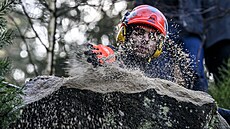 Skalní �ety národního parku �eské �výcarsko a m�sta D��ína odstra�ují v...