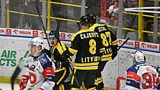 Litvínovská radost z gólu do sít� Pardubic.