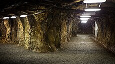 Do jeskyn� místo ordinace