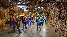 Do jeskyn� místo ordinace