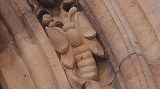 ilustra�ní snímek