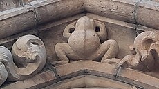 ilustra�ní snímek