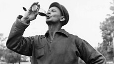 P�ed 110 lety do�lo k patentu na láhev Coca-Coly jak ji známe dnes.