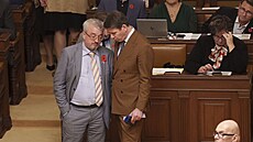 Jednání Poslanecké snmovny. Na snímku Marek Benda a Jan Skopeek. (11....