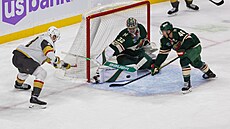 Tomá� Hertl se sna�í prosadit v utkání s Minnesotou.