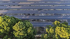 Letecký pohled na fotovoltaickou elektrárnu v úpravn vody v Casablance ve...