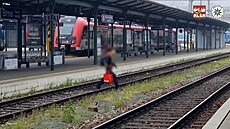 Jihomoravtí policisté udlili pes 50 pokut kvli pecházení kolejí