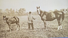 Pastviny napajedelského panství v roce 1896. Dobové snímky h�eb�ínu Napajedla...