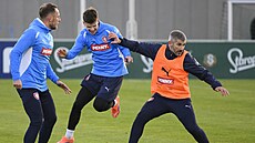 Asistent trenéra Jan Rezek na tréninku s Vladimírem Coufalem a Patrikem...