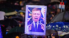 Slováci ve výro�í sametové revoluce ze 17. listopadu 1989 protestují proti...