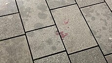 Kladivem rozbil vitrínu zlatnictví. Lupi�e na út�ku zne�kodnila náhodná...