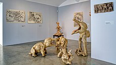 Výstava Biosphaera od um�lce Karla Pauzera v Konírn� Musea Kampa.