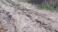 Hasi�i v brn�nských Ob�anech pomáhali se zapadlými auty na polní cest�, kam je...