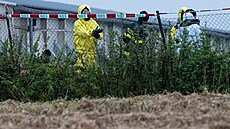 V Lankroun zaala likvidace velkochovu drbee. (13. listopadu 2025)