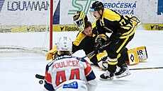 Litvínov, 16. 11. 2025, Verva Litvínov - Dynamo Pardubice, hokejová extraliga....