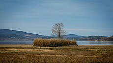 Sucho odhalilo �adu míst na lipenské p�ehrad�. Na snímku je zátoka v Kyselov�....