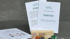 Tipy na afirmaní karty k Svtovému dni laskavosti.