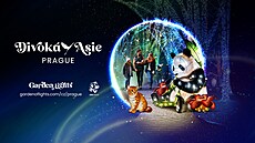 Popuste uzdu fantazii - vyrazte do Divoké Asie!