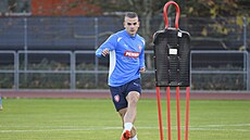 Václav Sejk na tréninku �eské reprezentace.