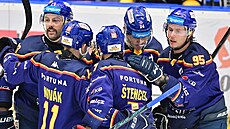 Hokejisté eských Budjovic slaví gól v utkání s Litvínovem.