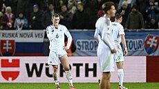 Zklamaní fotbalisté Severního Irska po porá�ce se Slovenskem.