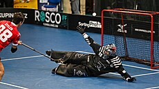 Florbalové mantinely ROSCO