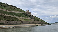 Vinice u Rüdesheimu v n�mecké oblasti Rheingau (30. �ervence 2025)