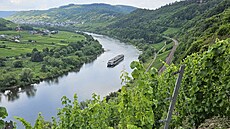 Vinice na n�mecké st�ední Mosele (28. �ervence 2025)